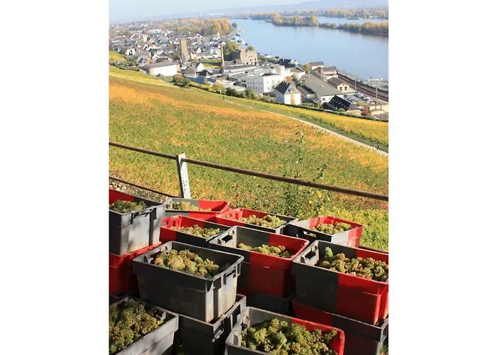 Dreimaedelhof Appartement *