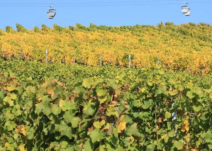 Dreimaedelhof 公寓 吕德斯海姆